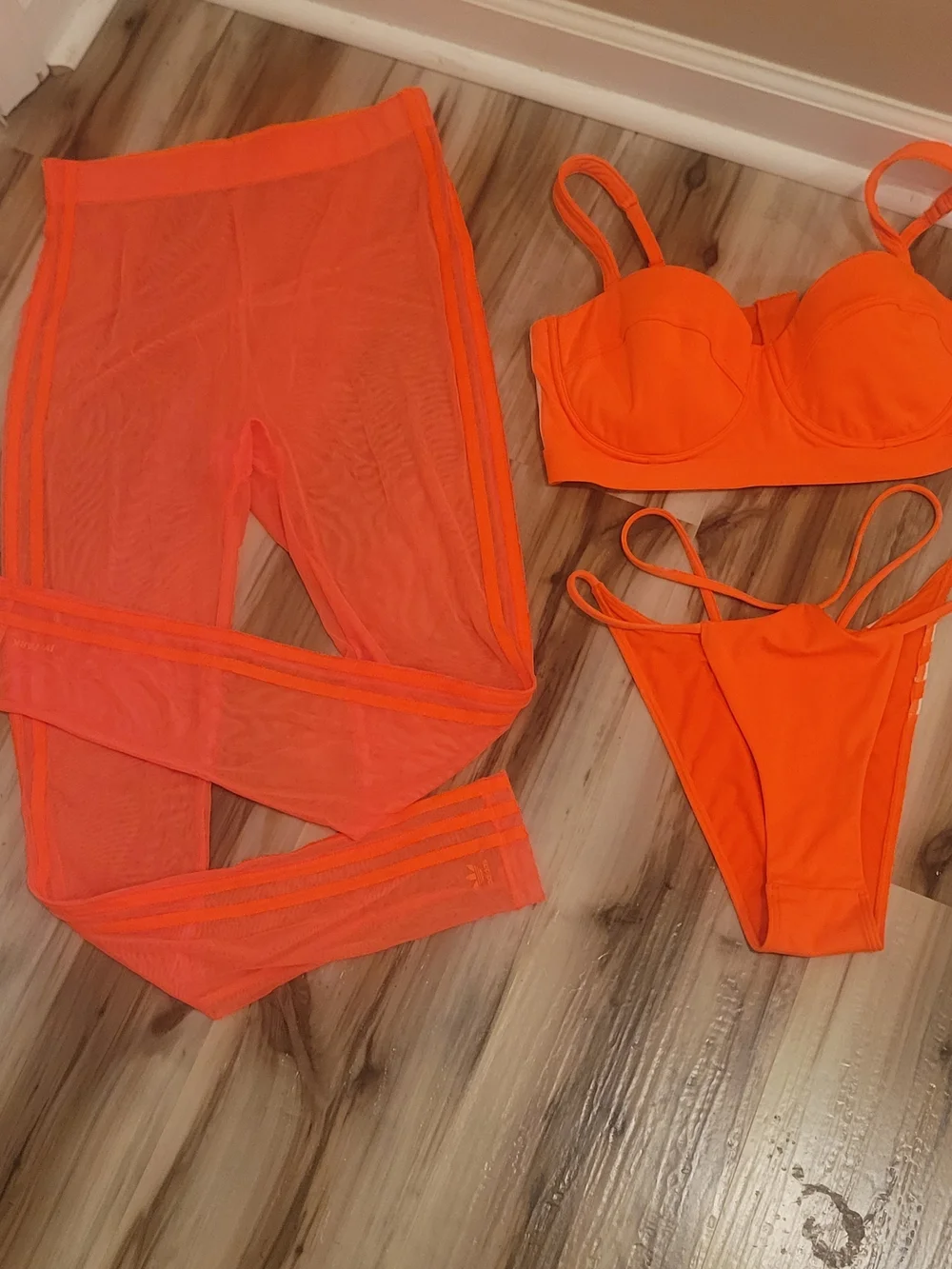 IVY PARK vibrant neon
